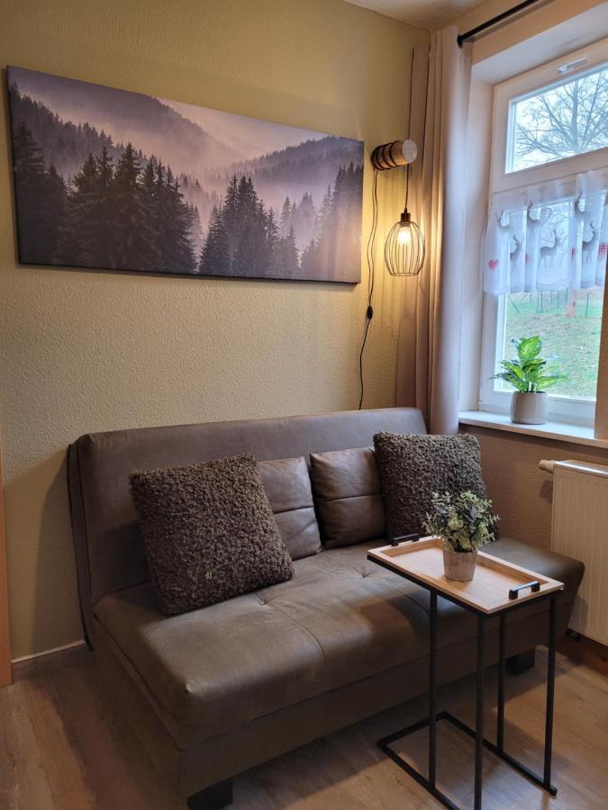 Apartments Und Bistro Zum Glasmacher Gehlberg Zewnętrze zdjęcie